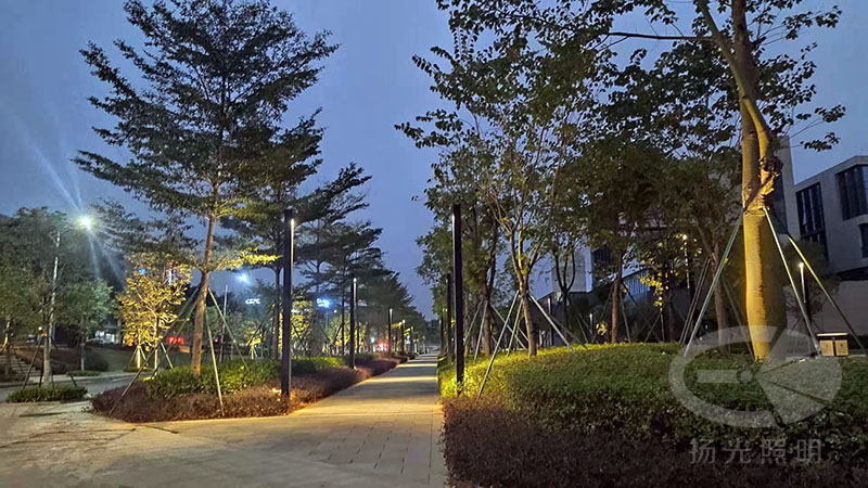 東莞中集智谷產業園景觀照明工程夜景圖